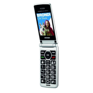 BRONDI AMICO SINCERO+ GRAY ITALIA